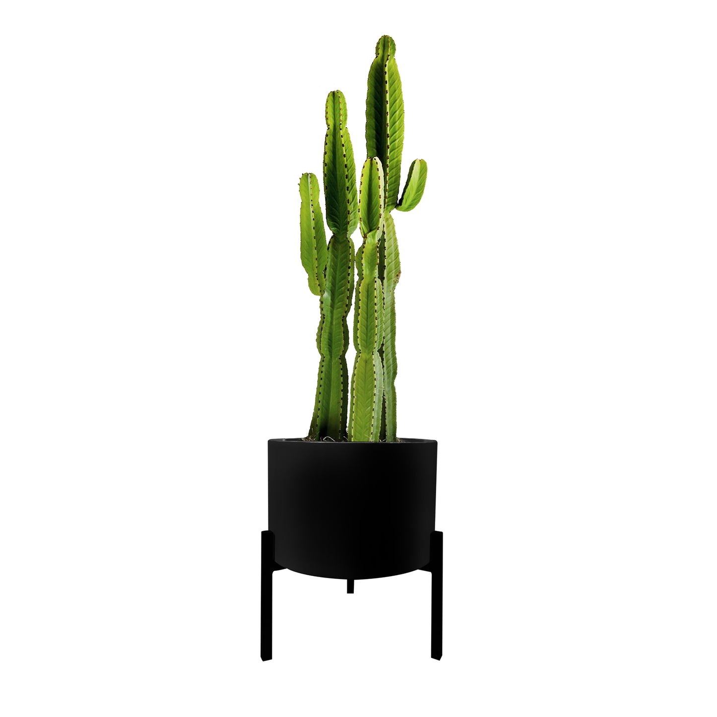 42078 - Blooms Planter Stand Black
