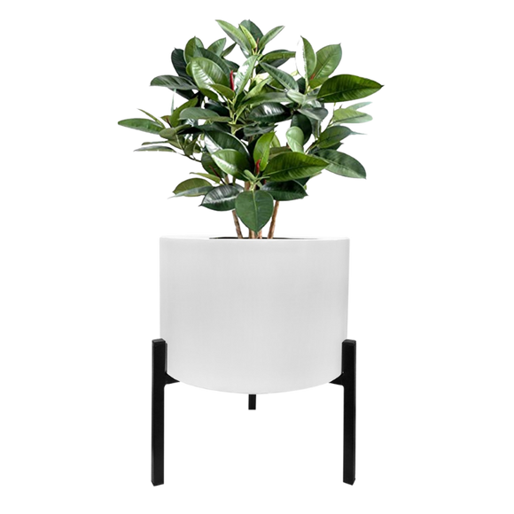 42077 - Blooms Planter Stand White